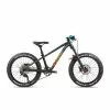 Orbea Laufey 20 H10 -E-Bikes Verkäufe 132