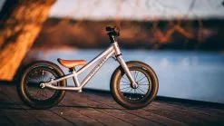 Early Rider, Charger 12, Kinderrad 2023 -E-Bikes Verkäufe 20200122 155242000 ios