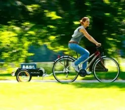 Burley Flatbed Transportanhänger -E-Bikes Verkäufe 2990 th flatbed path