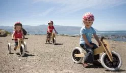 Wishbone Pre-Bike 3-in-1 Laufrad -E-Bikes Verkäufe 3 in 1 alle drei varianten