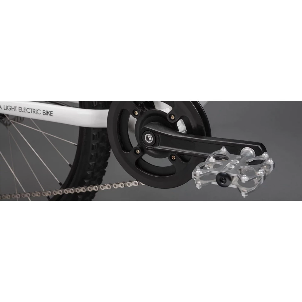 AMPERUM Ben-e-bike, TWENTY E-Power PRO, 20" Kinder E-Bike 2020 10 AMPERUM Ben-e-bike, TWENTY E-Power PRO, 20" Kinder E-Bike 2020 – Bild 8