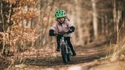 Early Rider, Belter 14, Street Kinderrad 2023 -E-Bikes Verkäufe belter14 16 9