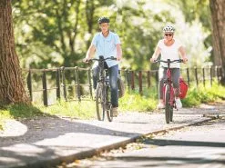 Centurion E-Fire City R2500.28 ABS -E-Bikes Verkäufe centurion e fire city on to