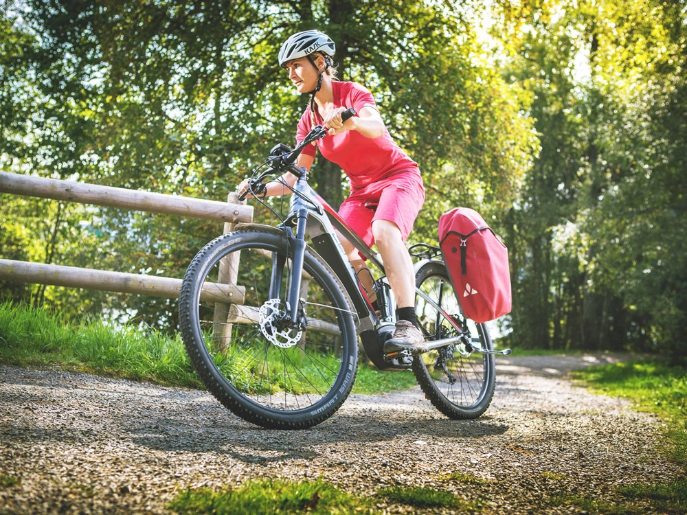 Centurion Lhasa E R750i EQ EP 2020 5 Centurion Lhasa E R750i EQ EP 2020 – Bild 3