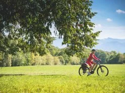 Centurion Lhasa E R750i EQ EP 2020 12 Centurion Lhasa E R750i EQ EP 2020 -E-Bikes Verkäufe centurion lhasae on tour869c1