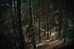 Mondraker, Dusty RR Gravel E-Bike 2023 34 Mondraker, Dusty RR Gravel E-Bike 2023 -E-Bikes Verkäufe dsc0585