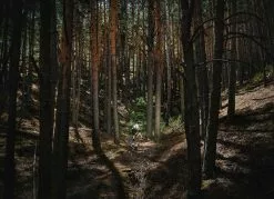 Mondraker, Dusty R Gravel E-Bike 2023 -E-Bikes Verkäufe dsc0617