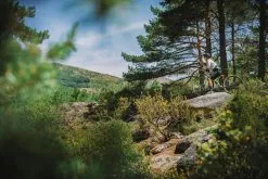 Mondraker, Dusty R Gravel E-Bike 2023 -E-Bikes Verkäufe dsc0663