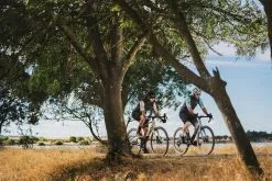 Mondraker, Dusty R Gravel E-Bike 2023 -E-Bikes Verkäufe dsc71000a6ff