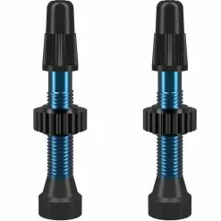 WTB TCS Ventil Presta Aluminium