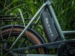 I:SY Jungle E5 ZR F Sondermodell 2022 + Gratis Schloss -E-Bikes Verkäufe isy 21 75687