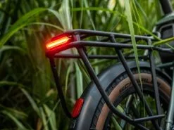 I:SY Jungle E5 ZR F Sondermodell 2022 + Gratis Schloss -E-Bikes Verkäufe isy 21 75691