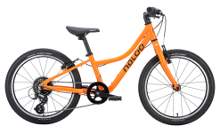 Naloo Chameleon 20 Zoll MK2 Kinderfahrrad