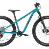 Naloo Hill Bill Pro 11-Speed 26 Zoll MK2 Kinderfahrrad, Petrol -E-Bikes Verkäufe naloo 2022 hillbill 26manitou petrol low