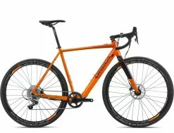Orbea Gain D31 2019 E-Bike