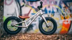 Early Rider, Charger 12, Kinderrad 2023 -E-Bikes Verkäufe photo 2020 02 07 18 53 07