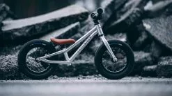 Early Rider, Charger 12, Kinderrad 2023 -E-Bikes Verkäufe photo 2020 02 12 14 32 24