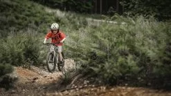 Early Rider, Seeker 20, Trail-MTB Kinderrad 2023 -E-Bikes Verkäufe seeker20 gallery desktop 2