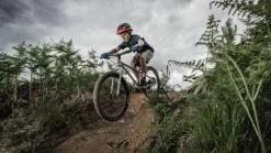 Early Rider, Seeker 24, Trail-MTB Kinderrad 2023 13 Early Rider, Seeker 24, Trail-MTB Kinderrad 2023 -E-Bikes Verkäufe seeker24 gallery desktop 3