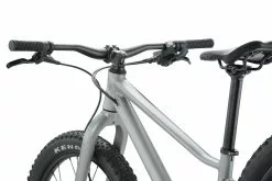 BMC Twostroke AL 24 MY23 -E-Bikes Verkäufe twostroke al 24 v1 gry blk red detail 6