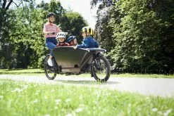 Urban Arrow Family Bosch Cargo Line 500Wh Magura Cme -E-Bikes Verkäufe urban arrow family 2020 14
