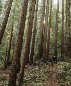 POC VPD System Back -E-Bikes Verkäufe vpd system chest 375ceb